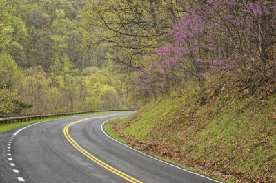 04/19/11 - Skyline Drive Spring