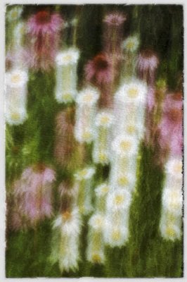 06/27/11 - Growing Flowers (vertical pan)