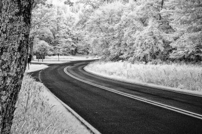 07/15/11 - Around the Bend (infrared)