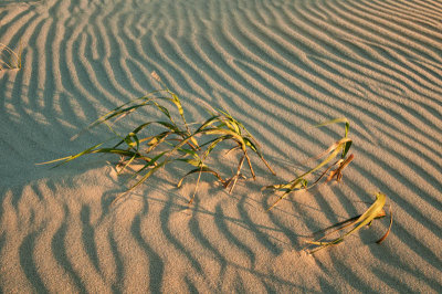 10/07/11 - On the Beach
