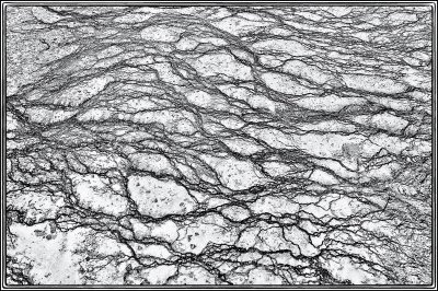 10/16/11 - Pollock Made Me Do It