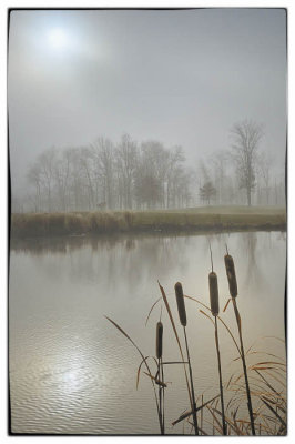 11/09/11 - Misty Morning (Making Image Borders)