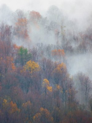 11/22/11 - Blue Ridge Mountain Autumn