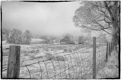 02/06/12 - Rural Countryside (processed in Snapseed)