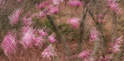 03/25/12 - Multiple Exposures