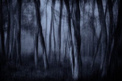 05/25/12 - Spooky Woods (multiple exposure)