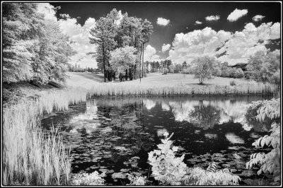 06/08/12 - Pondering a Pond (infrared)