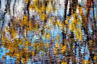 08/09/12 - Reflections in Blue & Gold