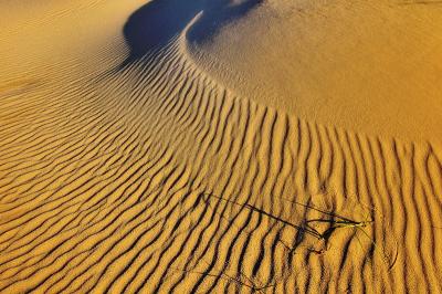 6/22/06 - Sand Dune Patterns