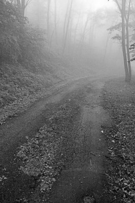 8/10/06 - In the Mist & Rain