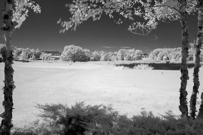 After - Infrared