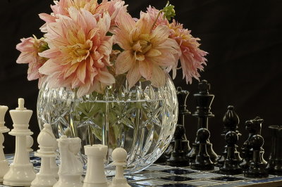 8/14/06 - Checkmate