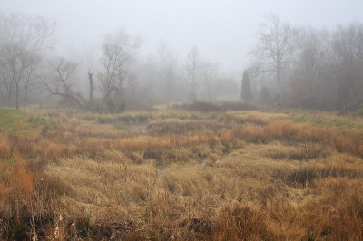 12/20/07 - Wetlands