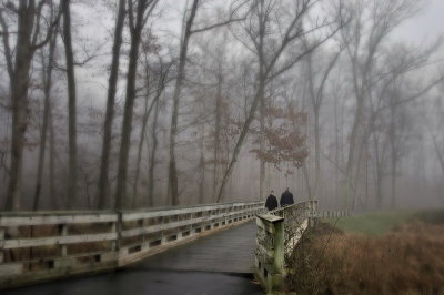 12/26/07 - Into the Mist