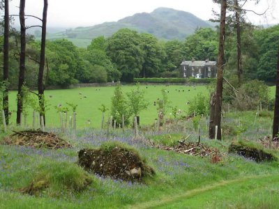 walking eskdale gn to boot