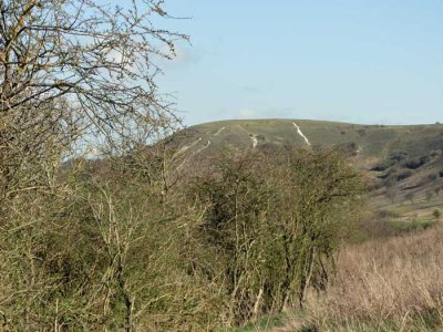 looking back up to dunstable downs