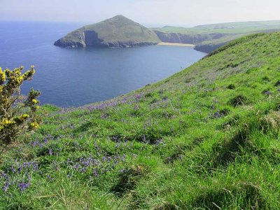mwnt on cardigan coast path