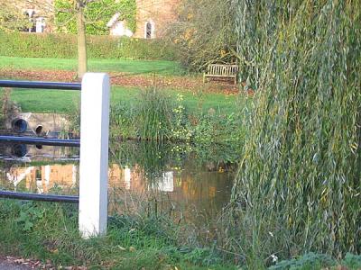 delightful pond at hedgerley