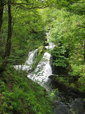 colwith force