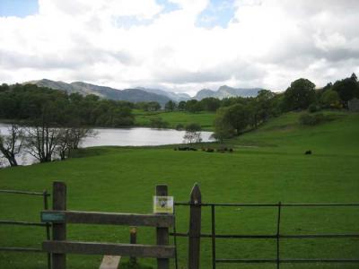 terrific views