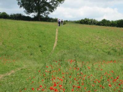 uphill after lunch