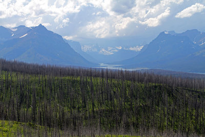 g4/32/486032/3/137579056.ohI66rm3.jpg