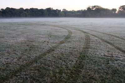 IMG_7188 Tracks in the frost.jpg