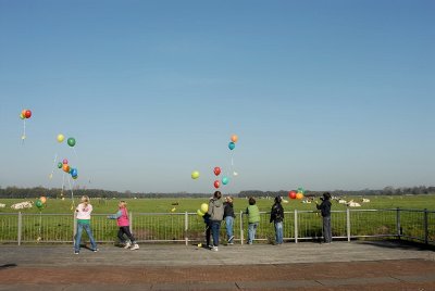 DSC_8745.jpg