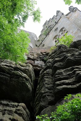 DSC_4770.JPG