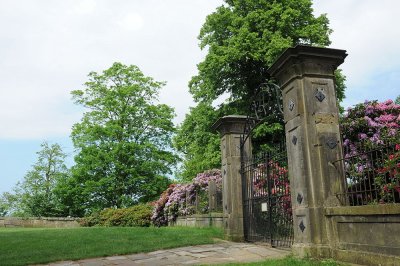 DSC_4785.JPG