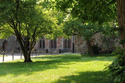 DSC_4917.JPG