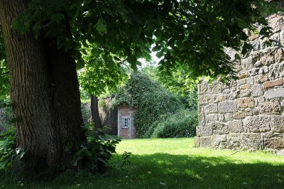 DSC_4926.JPG
