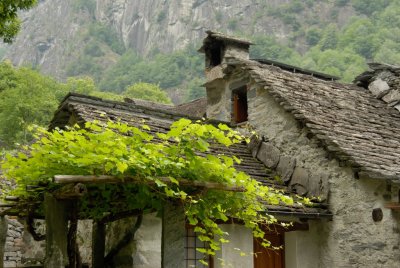 CH_web031.jpg
