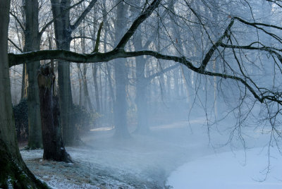 DSC_3005.jpg