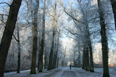 DSC_3036.jpg