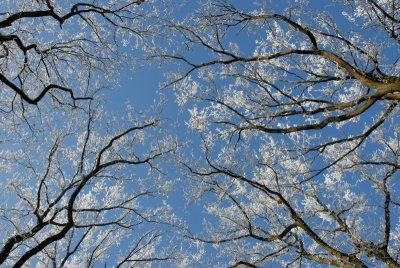 DSC_3045.jpg