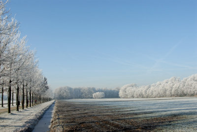DSC_3054.jpg