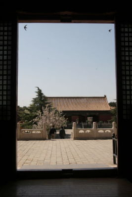 Sparrows at Doorway of Ming Tombs