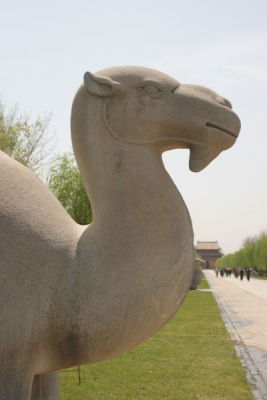 Stone Camel at Avenue of Stone Figures