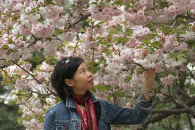 Joyce near Cherry Blossom