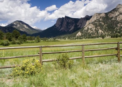 z_MG_2407 Fence  Meadow.jpg