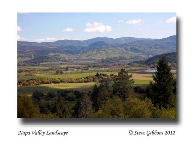 Napa Valley Landscape