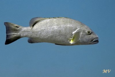 IMG_6815.JPG