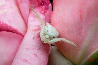 (101).JPG
