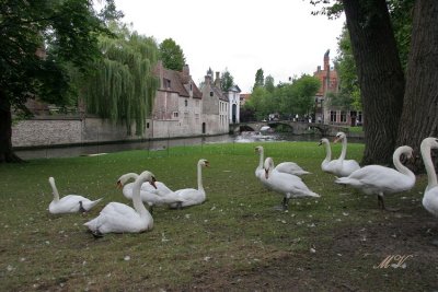 Brugge Bruges