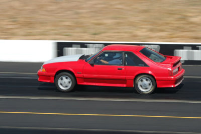 216_361C.jpg