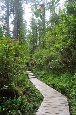 Board walk