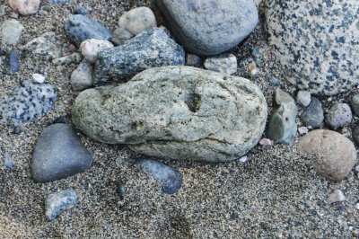 Fish faced stone on Acadia Beach