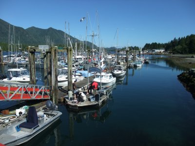 Tofino