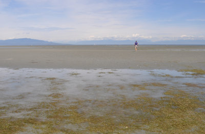 Rathtrevor Beach